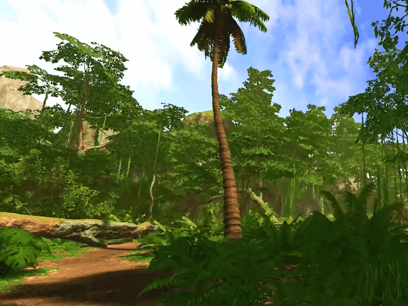 Jungle